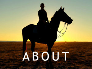 Herekore Equine Studies homeschool about courses students