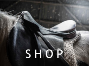 Herekore Equine studies homeschool shop courses